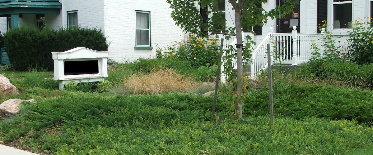 This image shows a lush, green garden in front of a white house with a porch, featuring a small empty white bench and various plants.