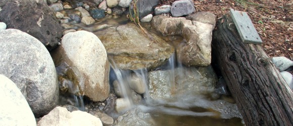 mountain stream backyard