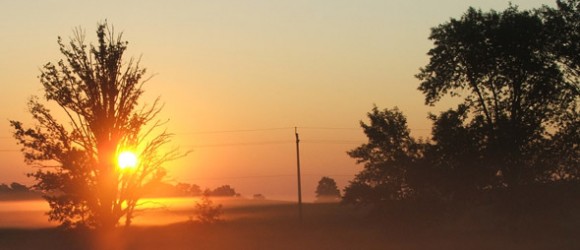 The image shows a serene sunrise with the sun peeking through the silhouette of a tree, a light mist over the field, and a clear sky.