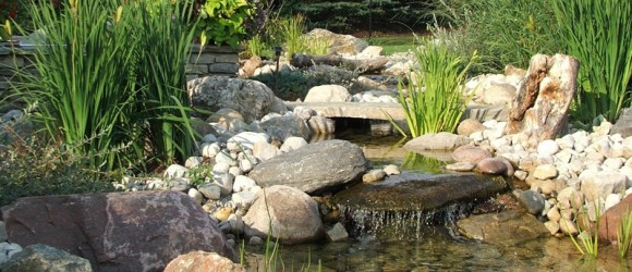 A tranquil garden pond, with a small waterfall over rocks, surrounded by lush greenery and a wooden bridge, under a clear sunny sky.