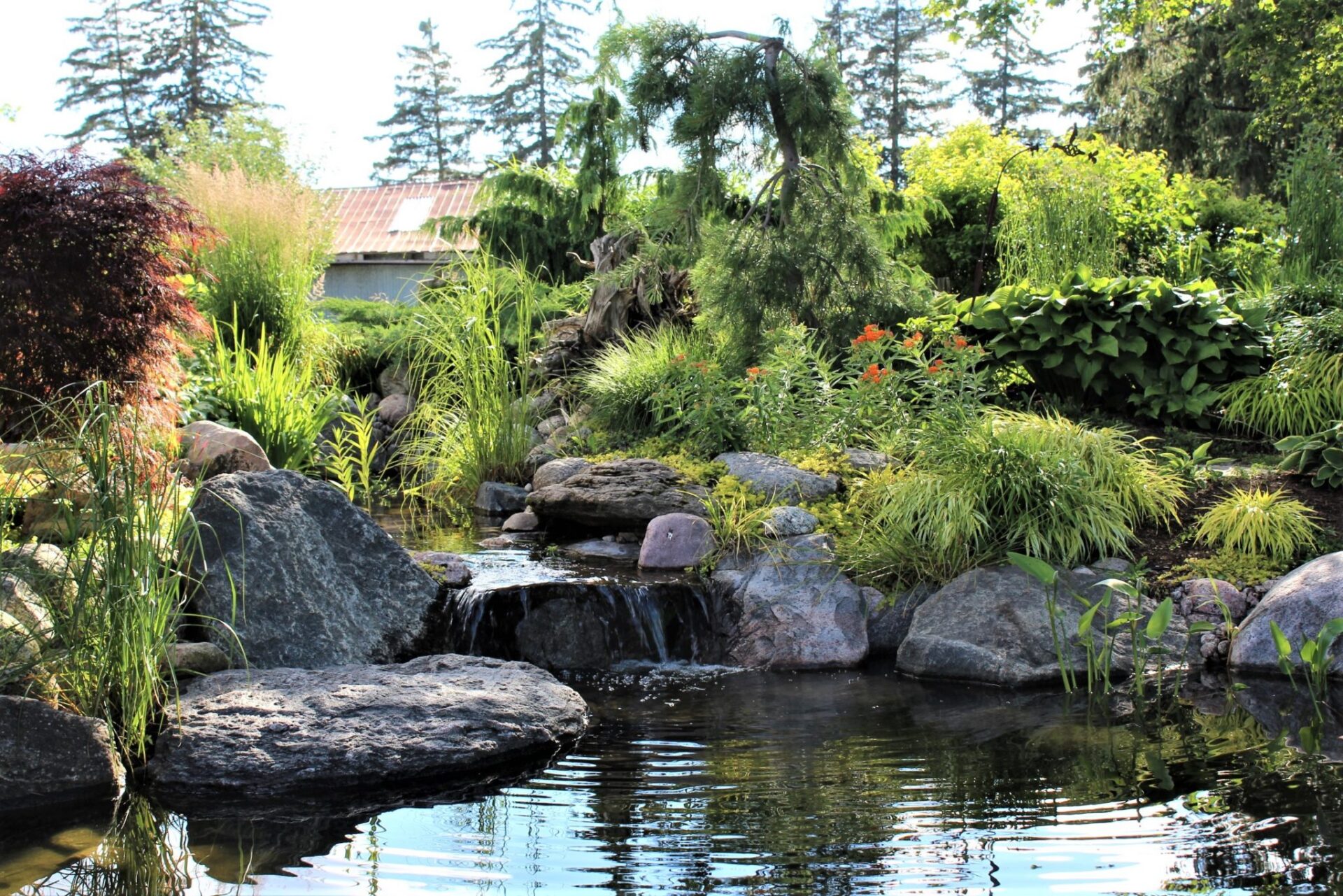 Backyard waterfall and gardens