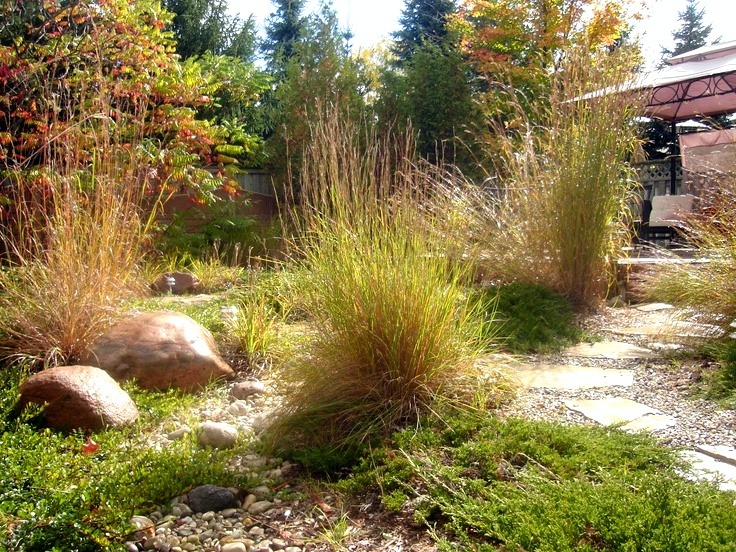 A peaceful garden with ornamental grasses, stepping stones, boulders, and a gazebo partially visible in the sunny background. Autumn colors hint at the season.