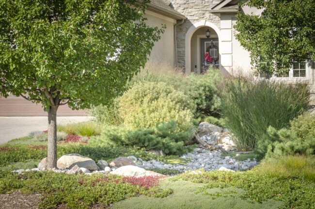 Lush residential garden with diverse plants, stones, and a tree. Behind, a cream-colored house with a person visible at the entrance.