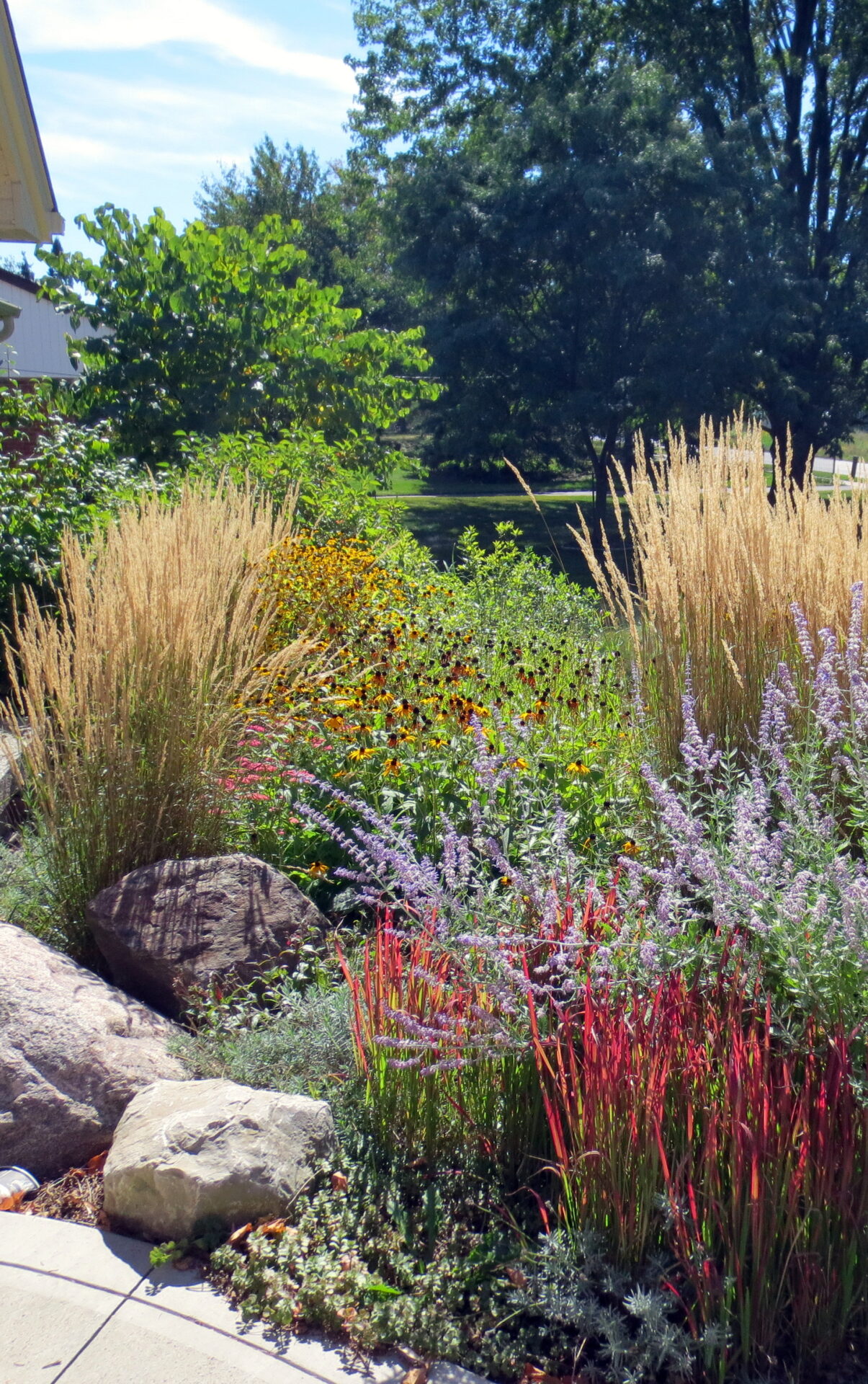 This image showcases a vibrant garden with various plants and grasses, colorful flowers, and large rocks, all under a clear blue sky.