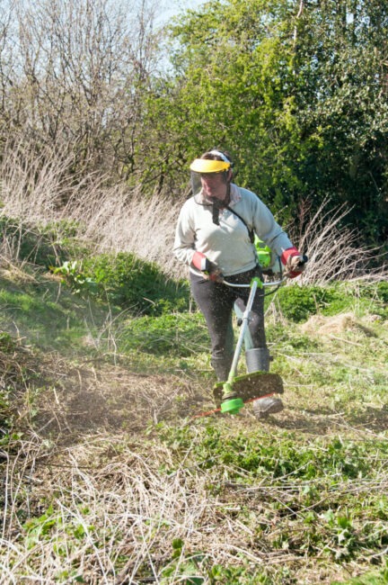 A person in safety gear uses a string trimmer on overgrown grass under a bright sky, with shrubs and trees in the background.