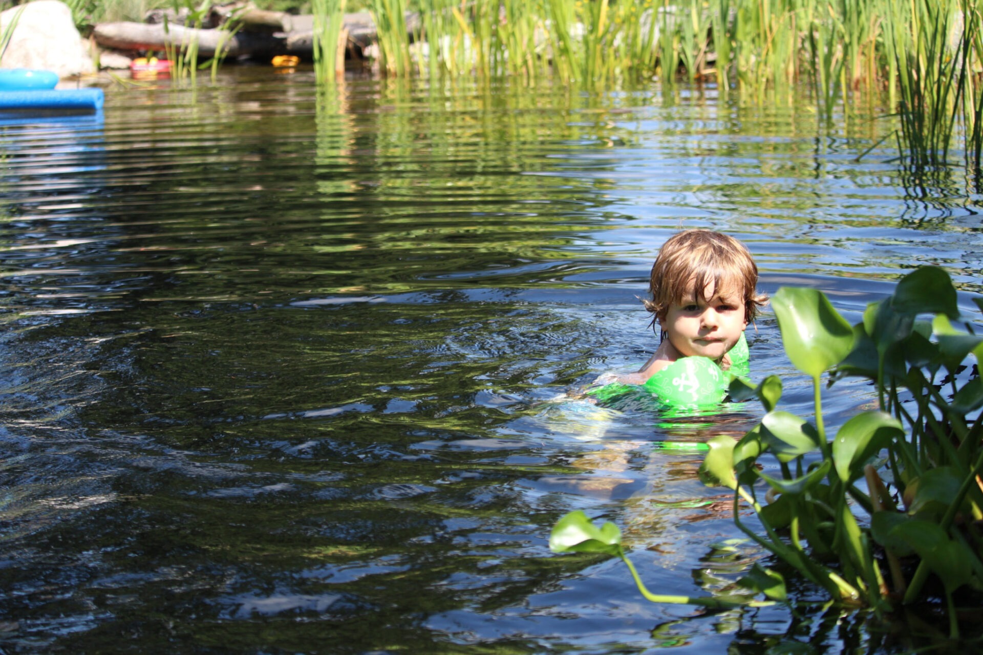 A child with wet hair is in a natural body of water, surrounded by greenery, with the focus on their head and shoulders above water.