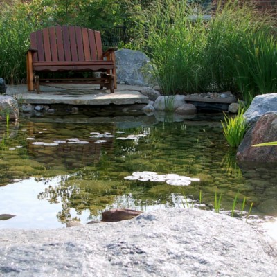 A serene garden scene with a wooden bench by the edge of a small pond, surrounded by rocks and green vegetation, under a clear sky.