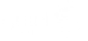 The image is a black and white logo featuring the words "quiet NATURE" in lowercase letters, accompanied by silhouettes of two oak leaves on the right side.