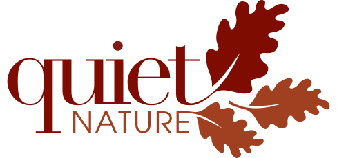 The image displays a logo that reads "quiet nature" in stylized font, embellished with two oak leaf silhouettes in a contrasting color to the background.