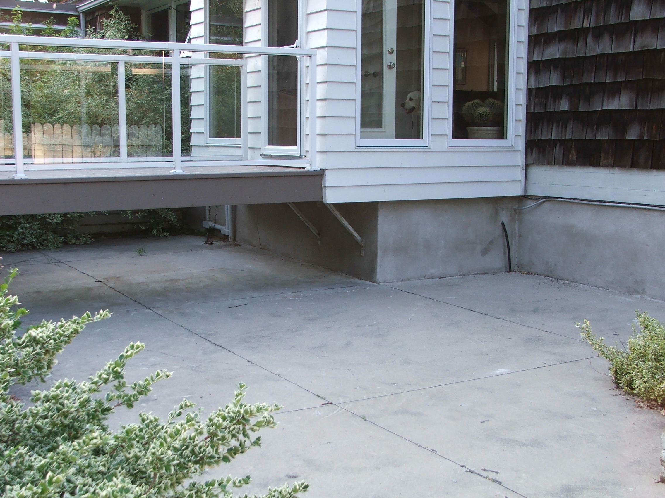 A home exterior with a white railing, concrete patio, green shrubs, and a dog peering out a white-framed window. Wood shingles on one wall.