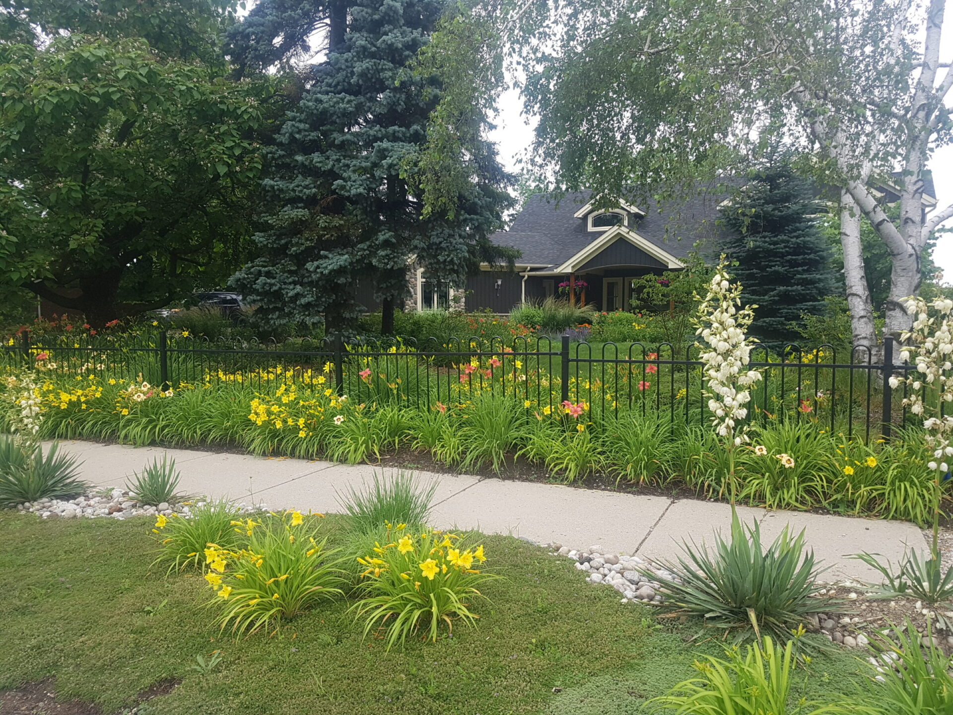 This image shows a beautifully landscaped garden with a variety of flowers and plants in front of a dark-colored house with a green lawn.