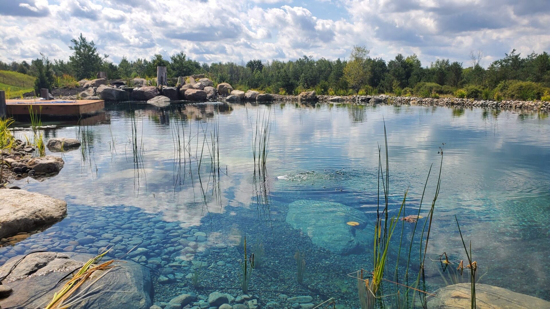 A tranquil pond with clear blue water, surrounded by rocks, greenery, and a wooden dock under a partly cloudy sky. Visible pebbles beneath the surface.