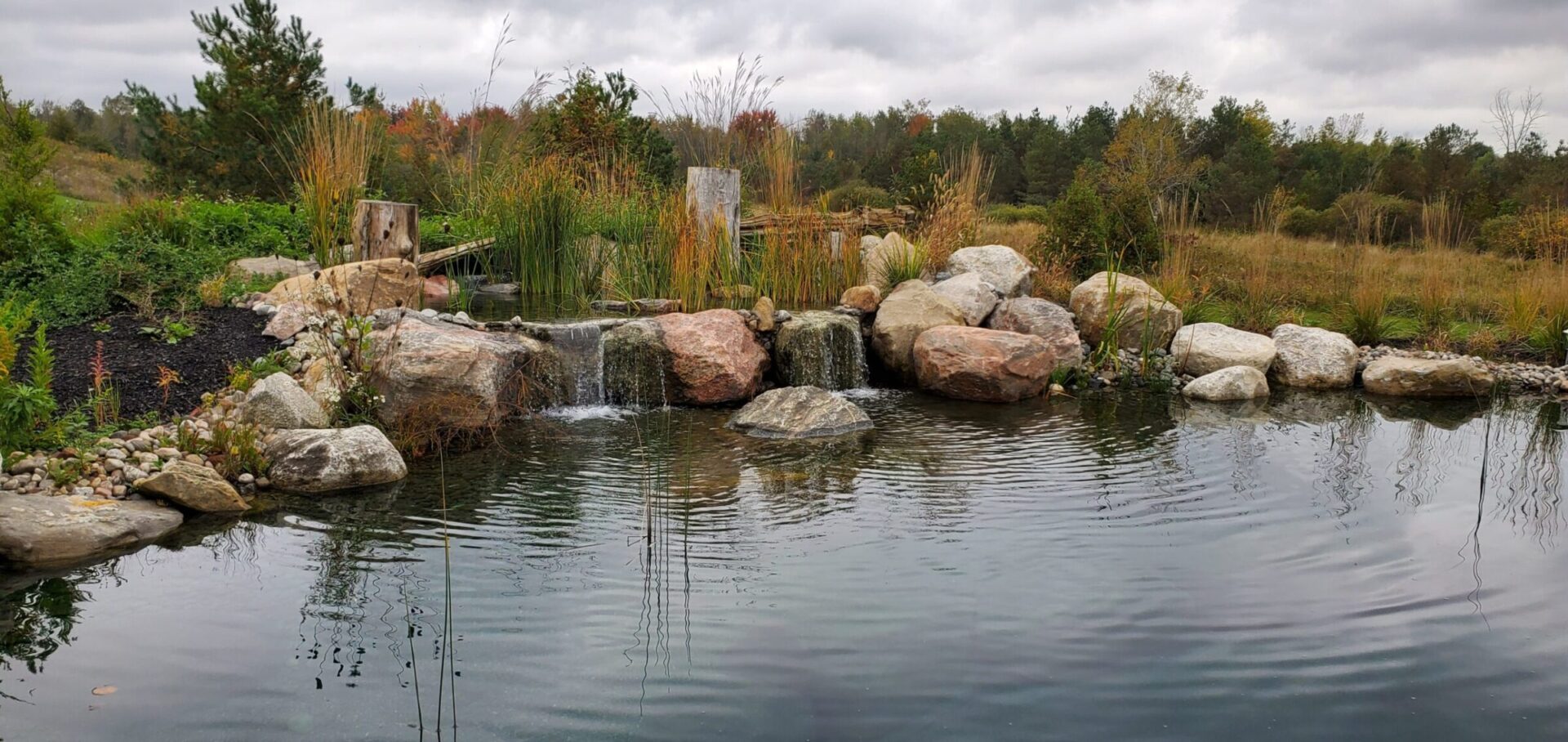 An artificial water feature with a small waterfall created by boulders. Reflective pond surrounded by greenery and reeds under an overcast sky.