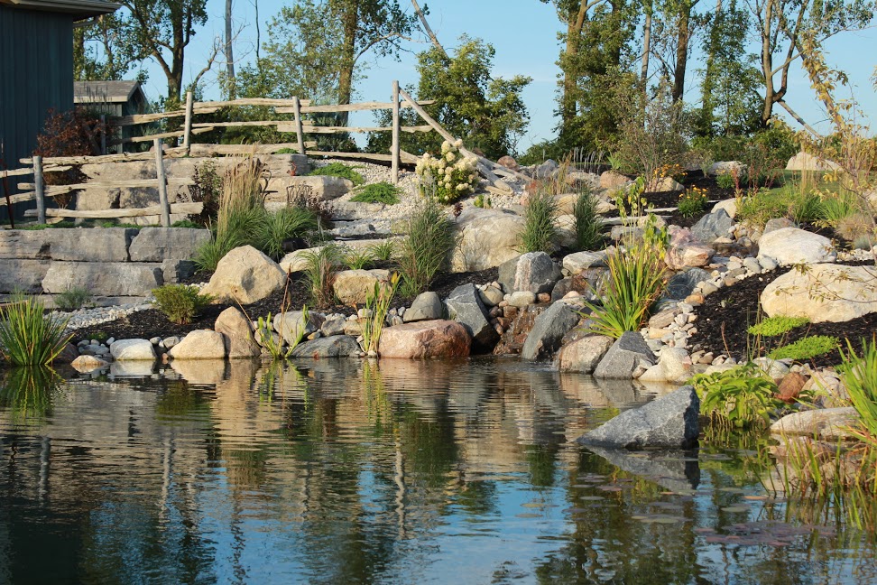 A serene landscaped garden with a pond, surrounded by an assortment of rocks and boulders, green plants, and a wooden rail fence.