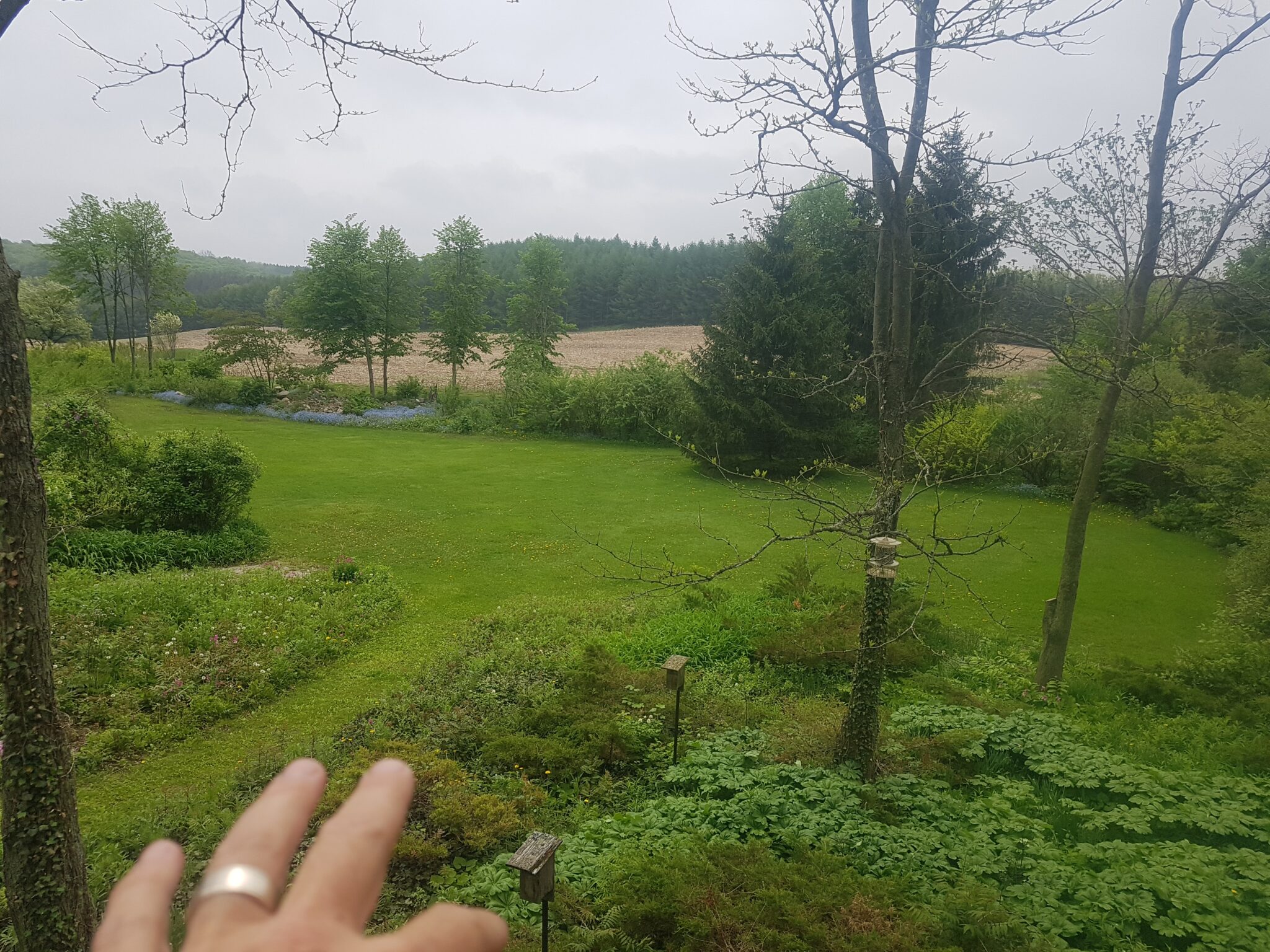 The image shows a lush garden with trees, foliage, and a grassy area leading to a tilled field, under an overcast sky. A person's hand is visible.