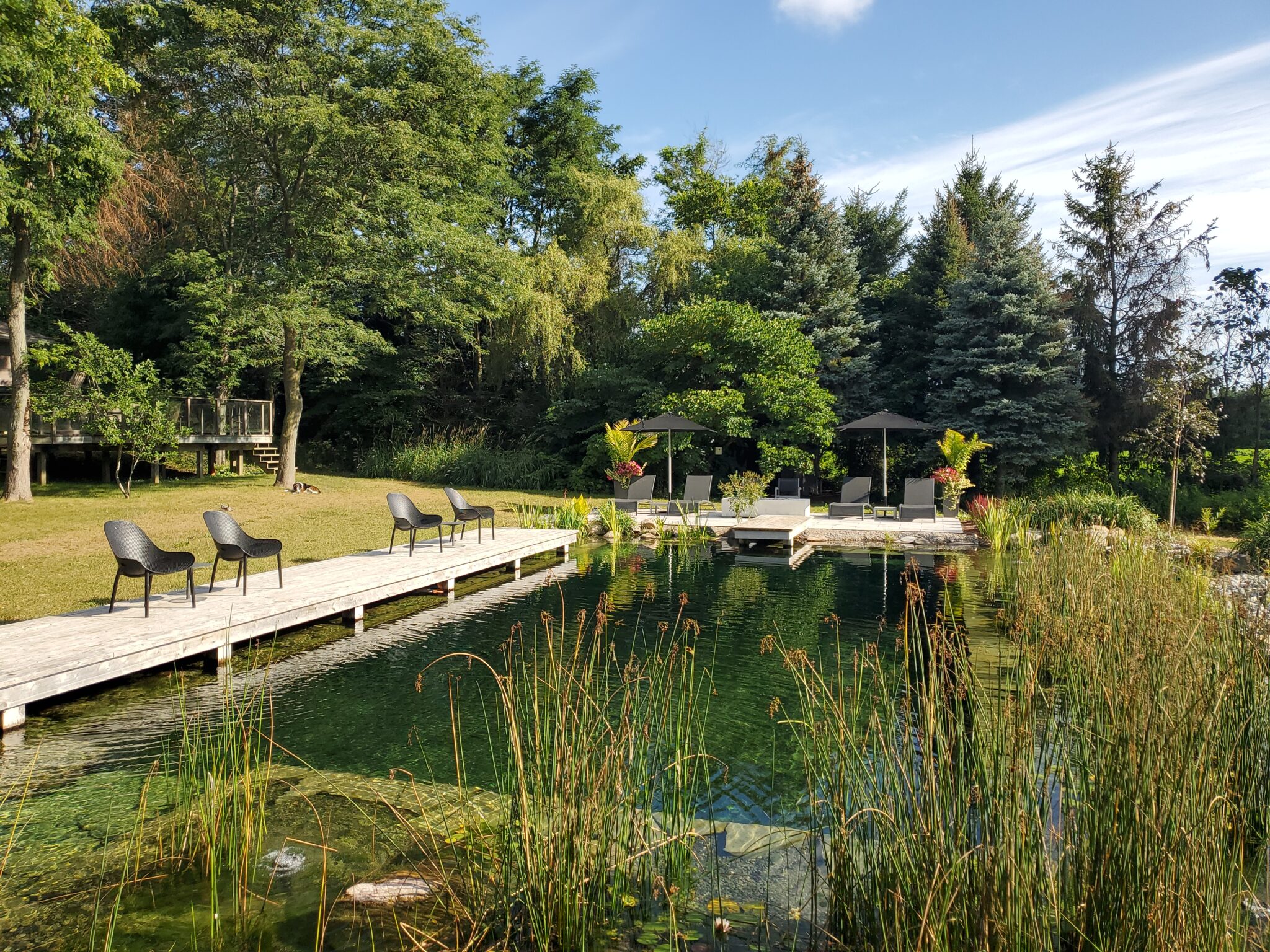This image features a tranquil natural pond with a wooden walkway lined with chairs, surrounded by lush greenery and trees under a clear sky.