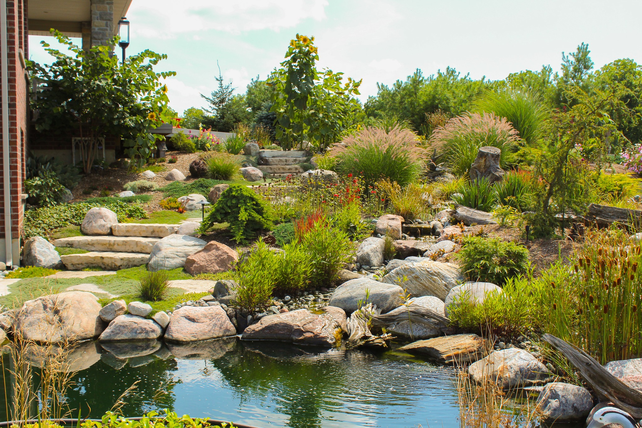 A lush garden with a tranquil pond, surrounded by rocks, greenery, and flowering plants, beneath a clear blue sky with scattered clouds.