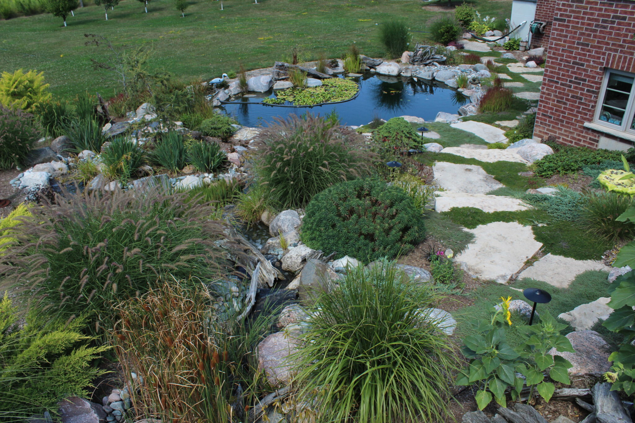 A landscaped garden with a pond, large stepping stones, an array of plants, and a red brick house on the side. It's a peaceful, natural setting.