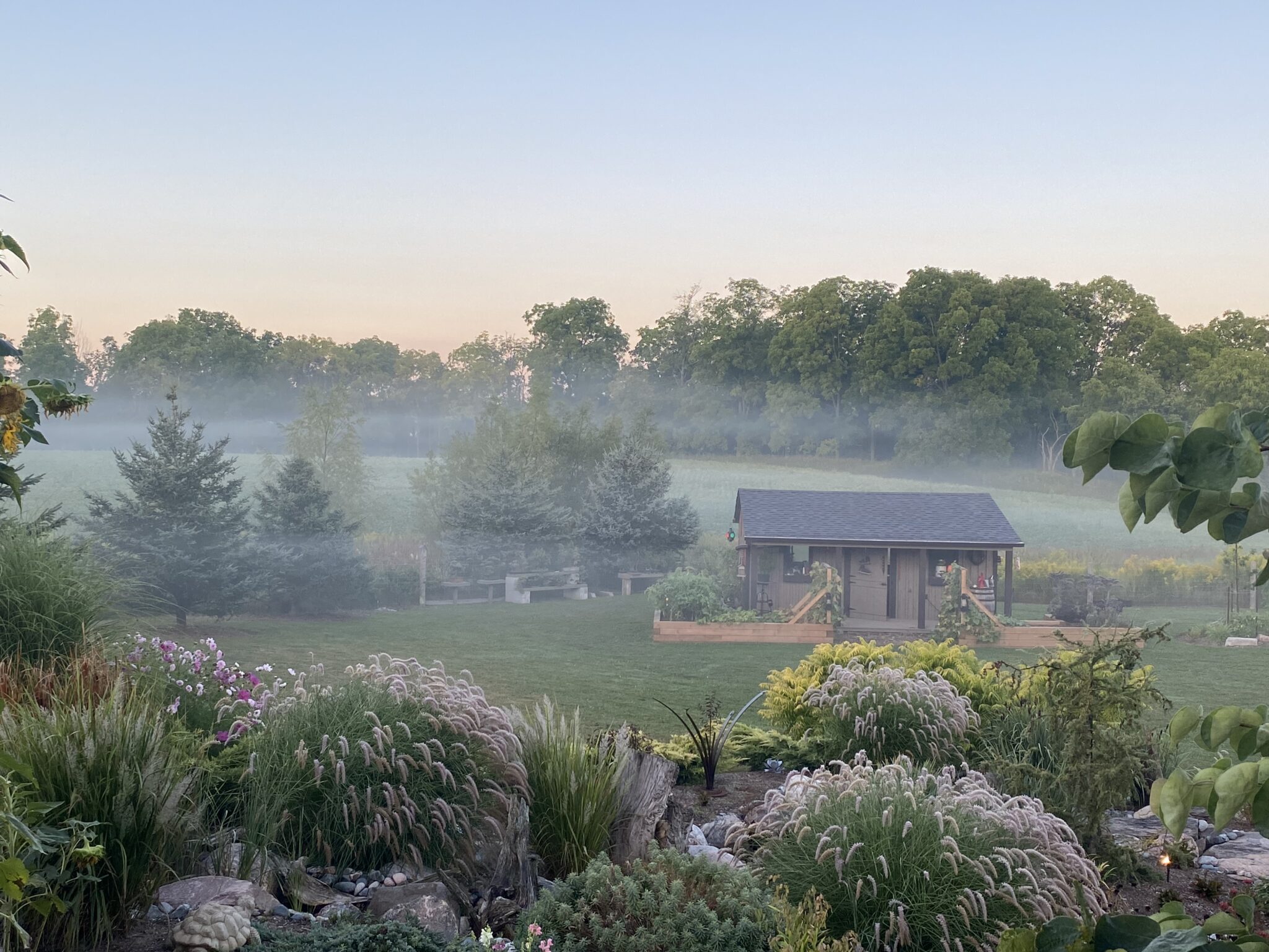 A picturesque garden in early morning mist with a small structure, lush vegetation, blooming flowers, and trees in the background.