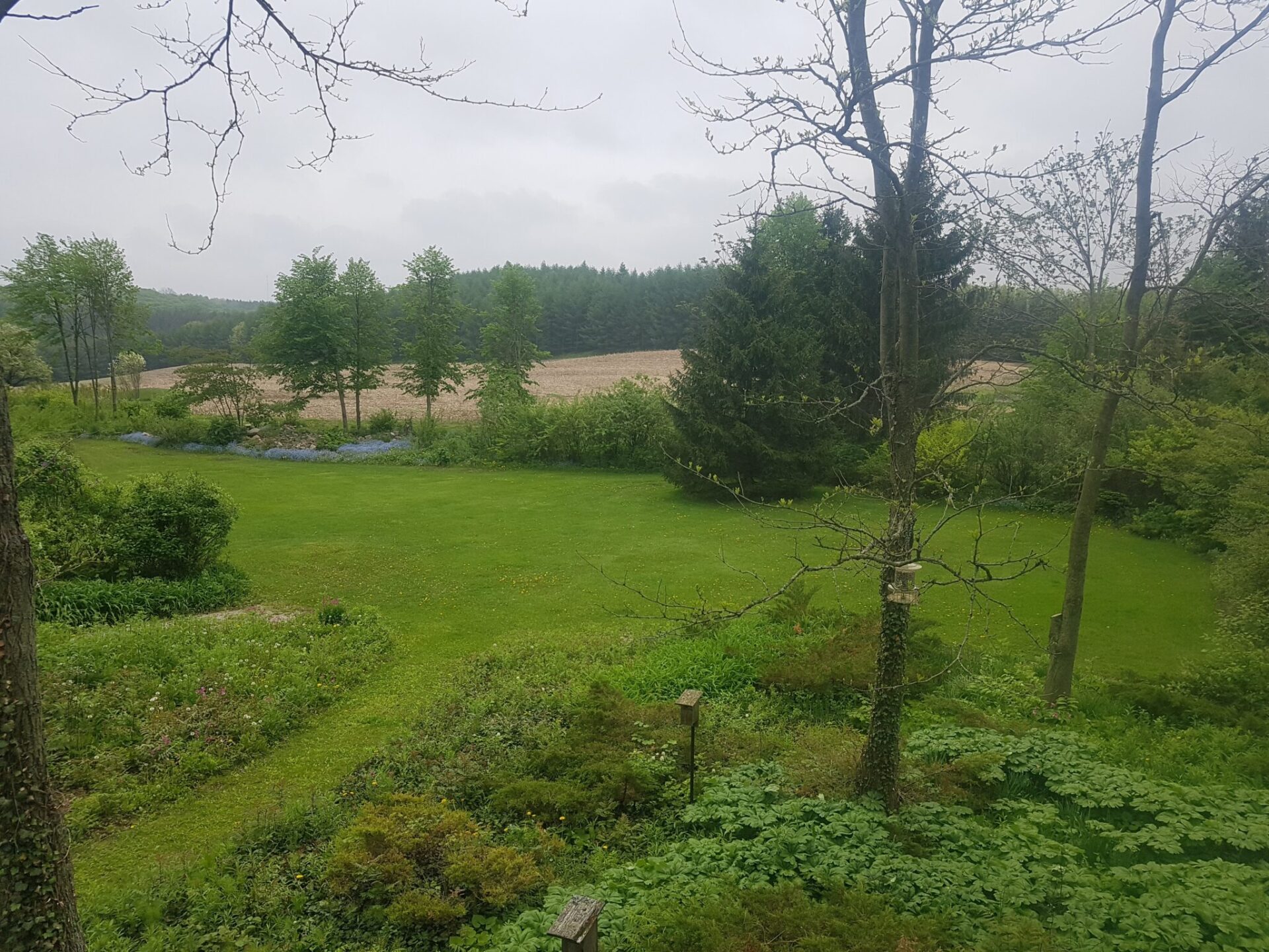 An overcast rural setting; leafy trees frame a view of a lush green lawn, flowering plants, and a tilled field in the distance.