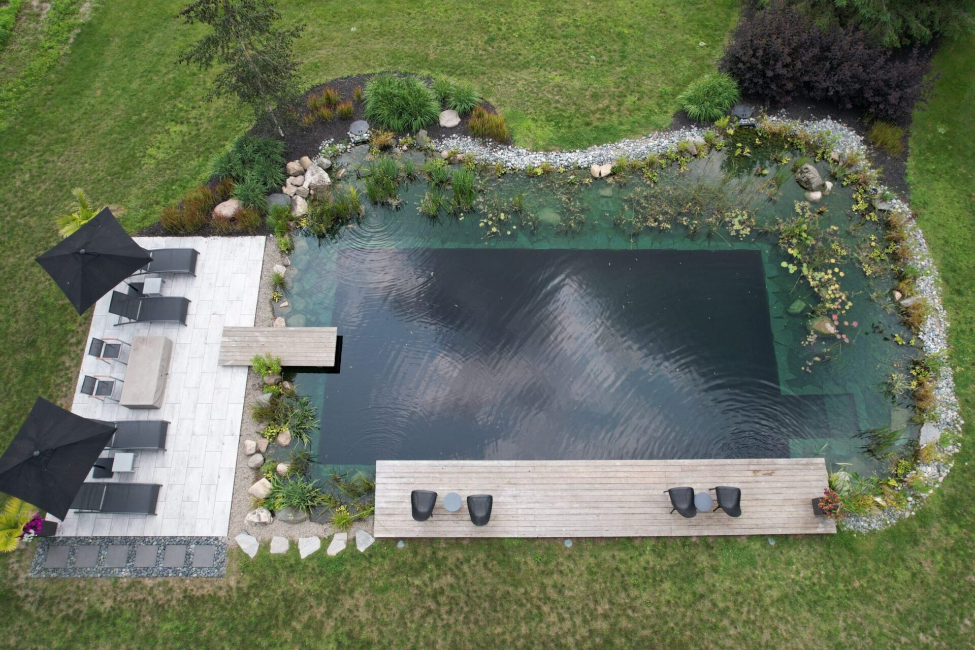 Aerial view of a natural-looking backyard pool with a clear, rectangular shape, surrounded by landscaping, patios, umbrellas, and lounge chairs.