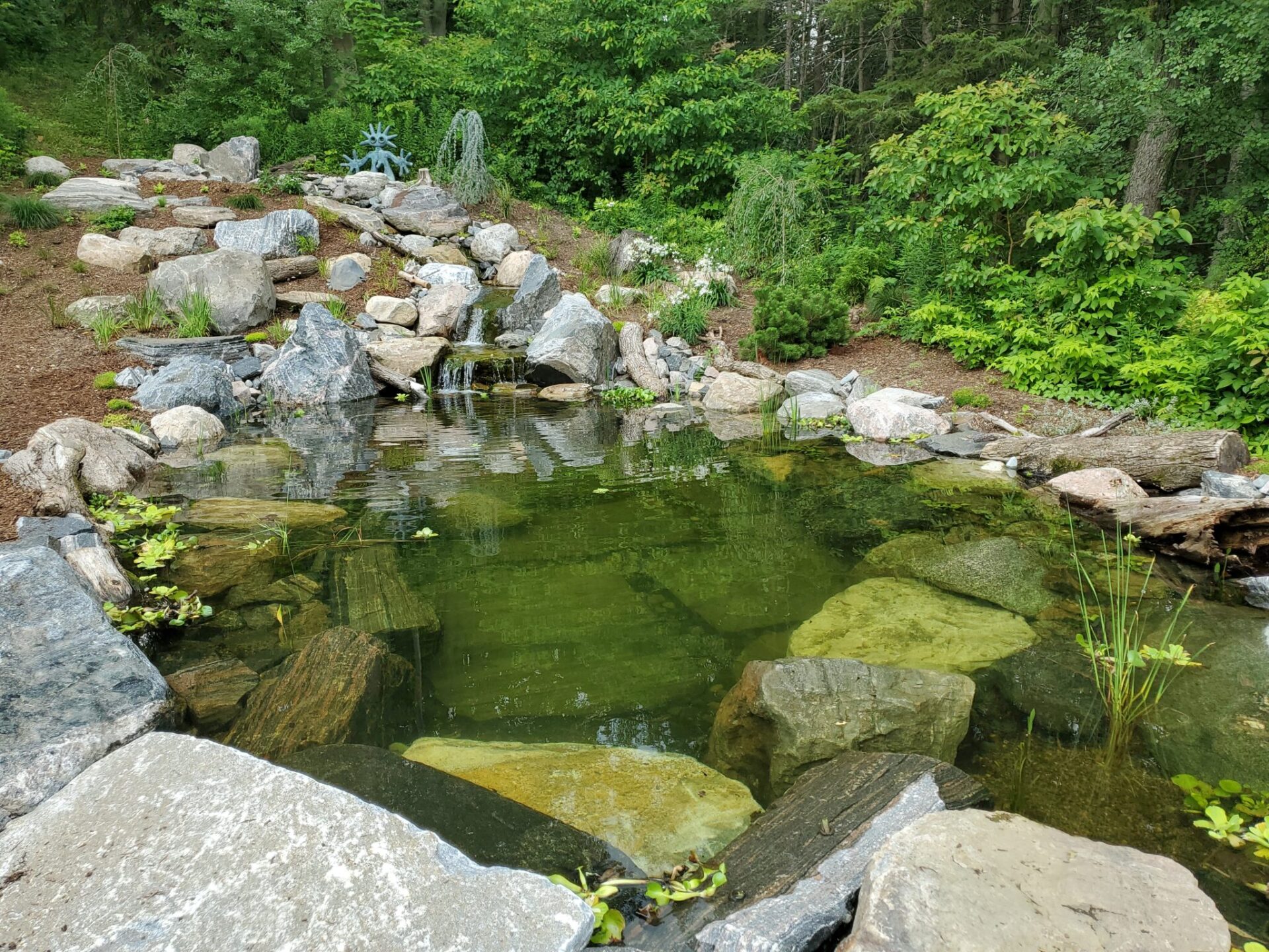 A tranquil garden pond surrounded by large rocks and lush greenery, featuring a small waterfall and clear water revealing submerged rocks and plants.