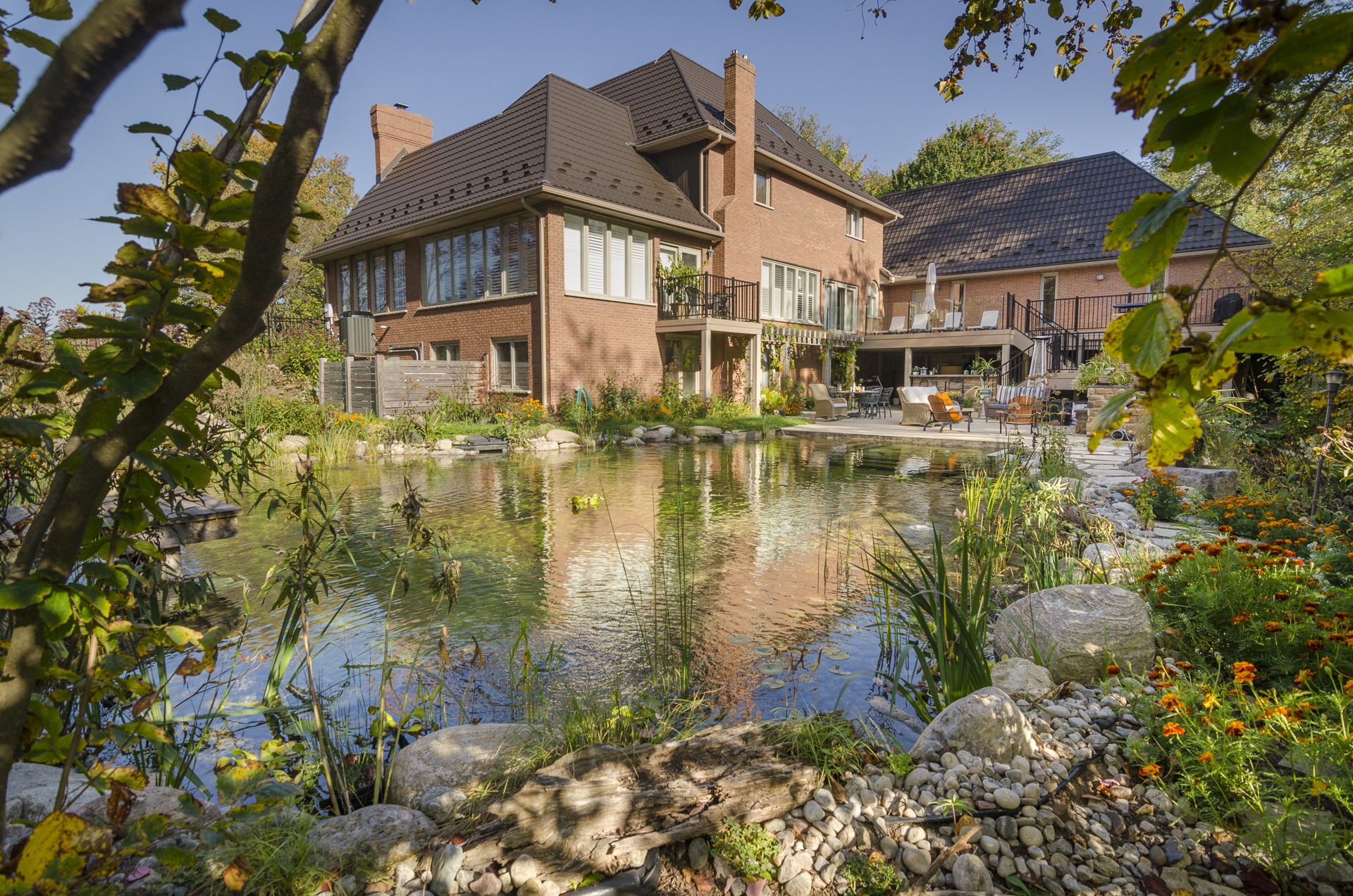 A serene backyard garden with a natural pond, lush vegetation, and a large brick house featuring multiple balconies and an outdoor seating area.