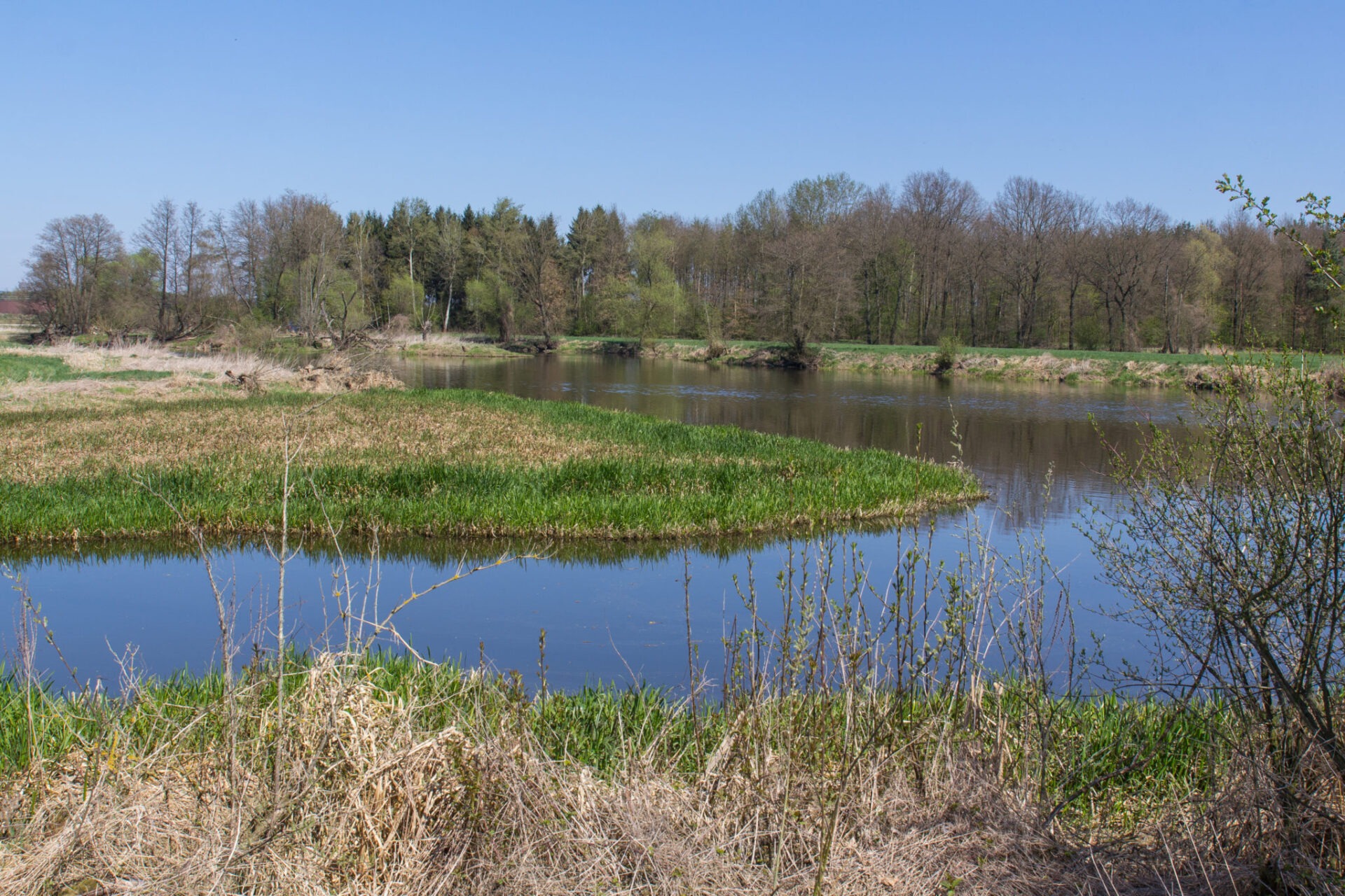 A serene river landscape featuring clear blue water, with lush green banks, trees in early foliage, and a vibrant blue sky above.