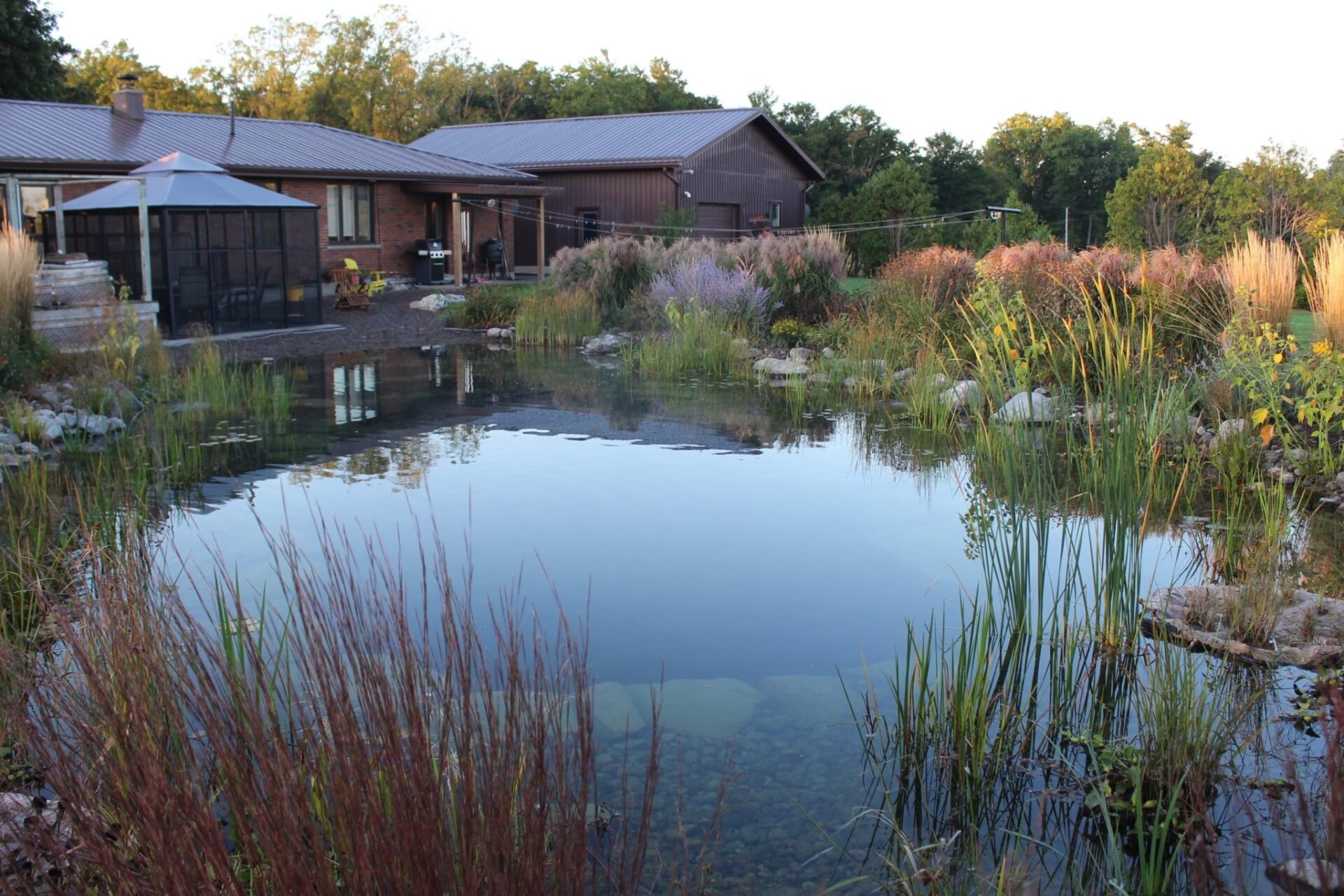 A serene pond with clear water is surrounded by lush vegetation and overlooks a brick house with a patio and screened gazebo during twilight.