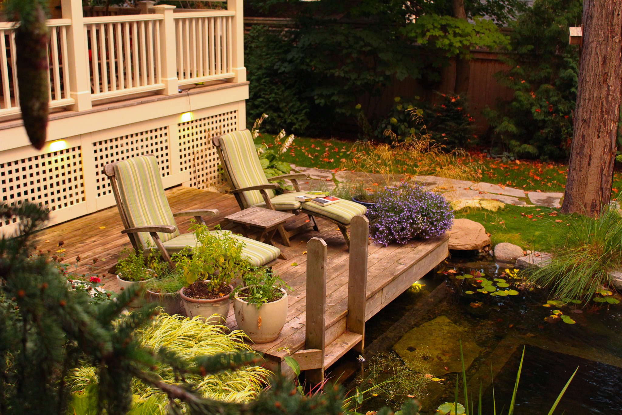 A cozy backyard with a wooden deck, two reclining chairs with cushions, potted plants, a small pond with lily pads, and a lush garden.
