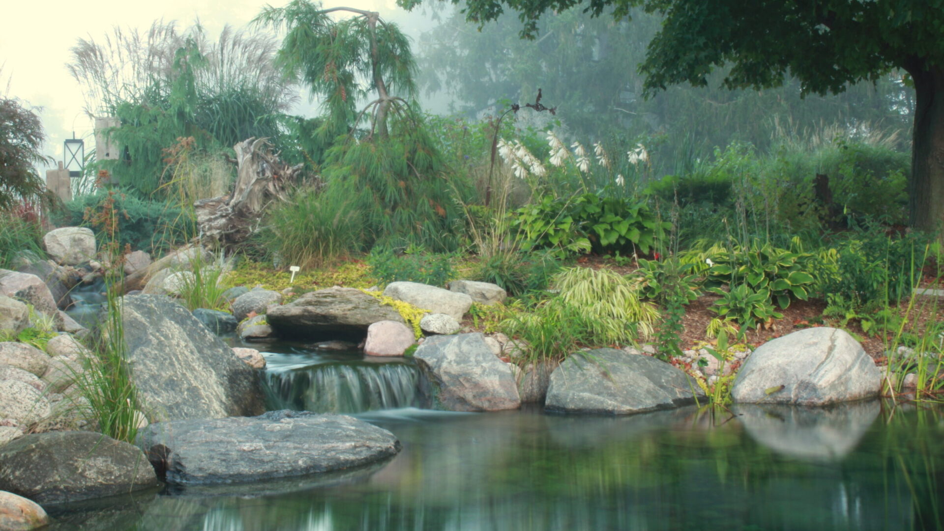 This image depicts a serene garden with a flowing stream surrounded by rocks, assorted plants, and trees, shrouded in a light misty atmosphere.