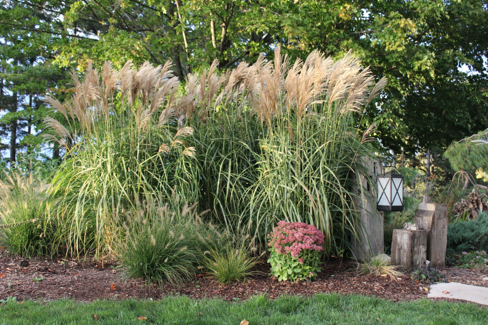 The image shows a landscaped garden with tall ornamental grasses, flowering shrubs, and a vintage-style lamp post. Trees and clear skies in the background.