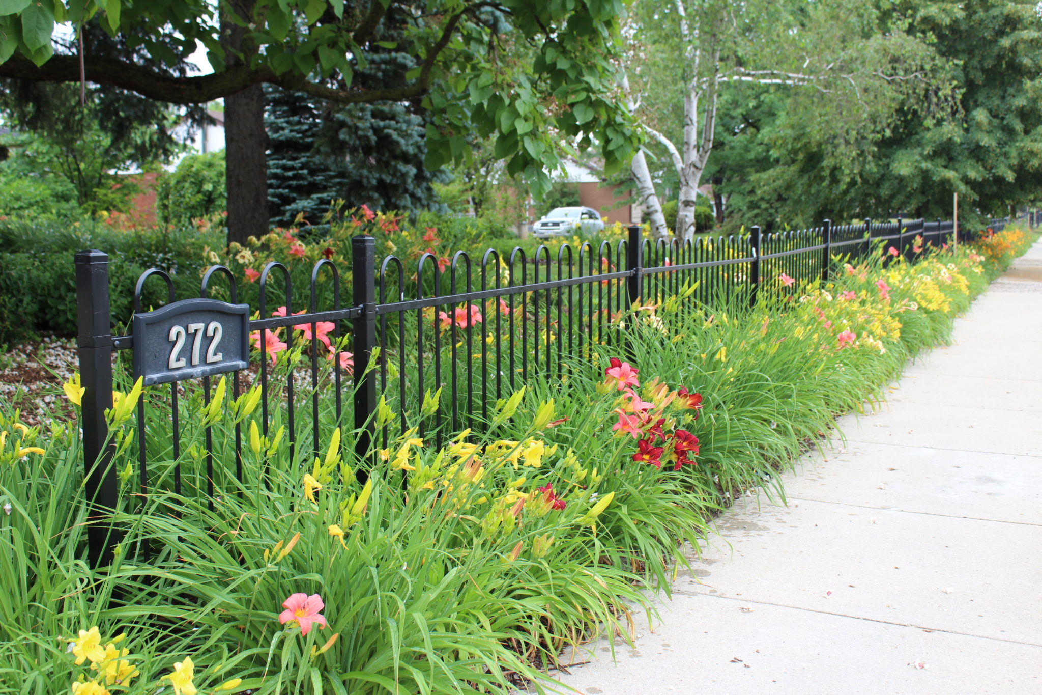A sidewalk beside a black wrought iron fence with address sign "272". Colorful daylilies and lush greenery adorn the base, with trees and a partly cloudy sky overhead.