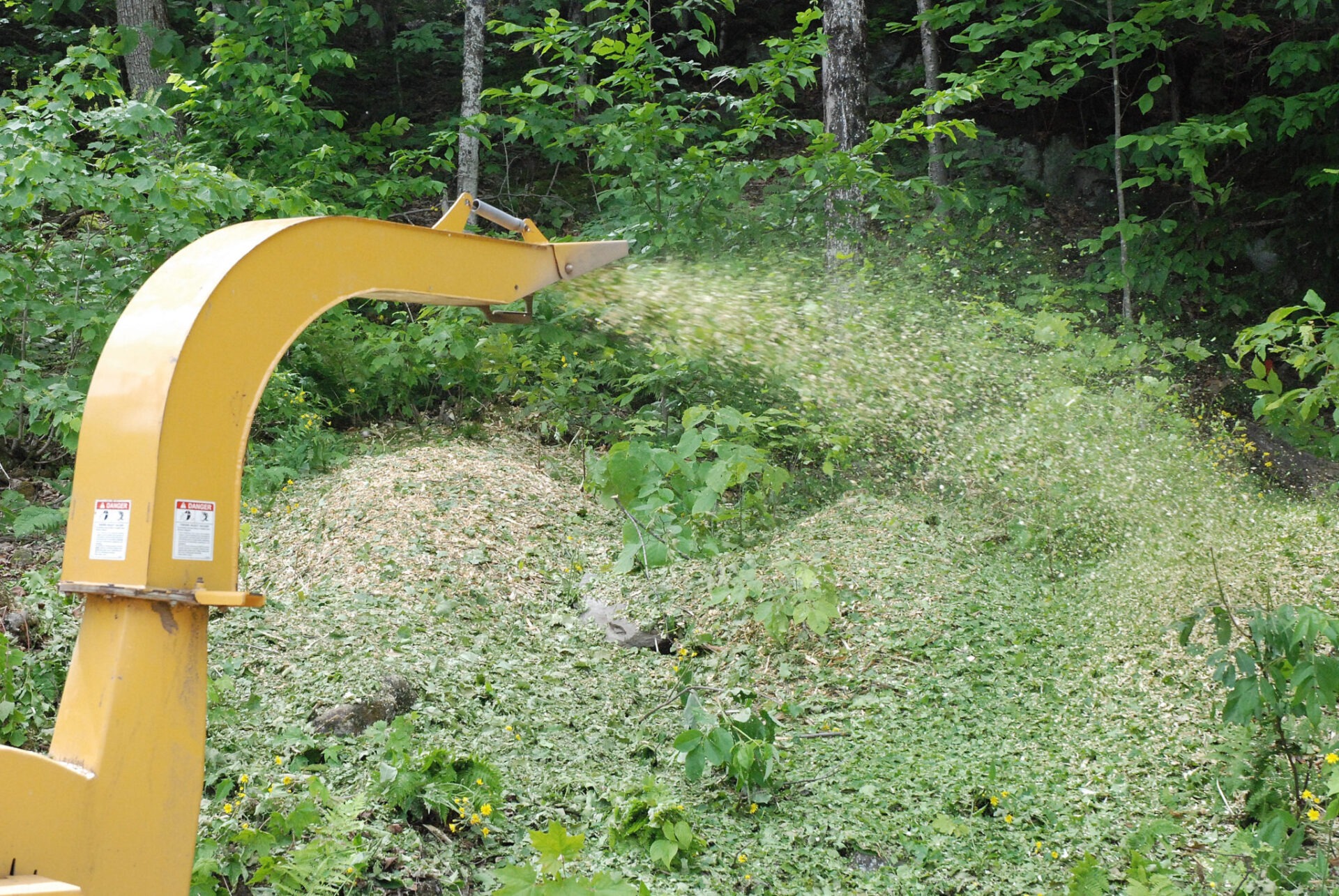 A yellow wood chipper is expelling chips into a wooded area, creating a pile of freshly chipped green material amid the forest undergrowth.