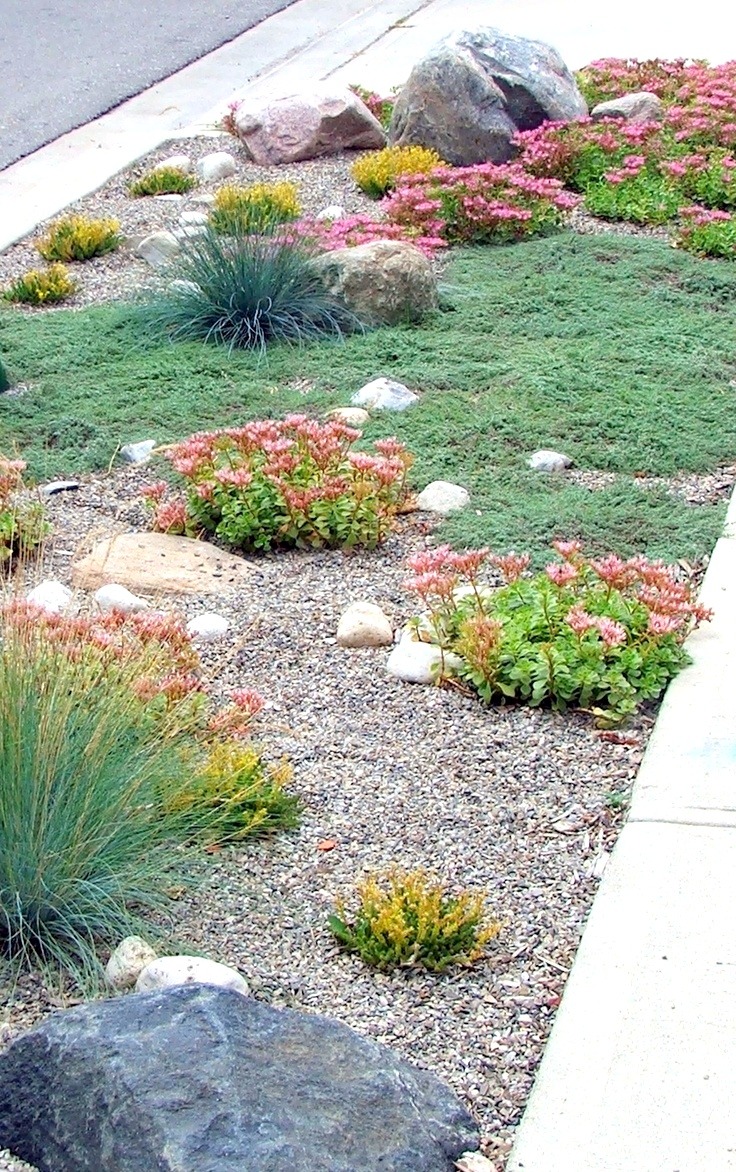 This is a landscaped garden featuring various plants, pebbles, and rocks, arranged in a pattern alongside a sidewalk, indicating intentional garden design.