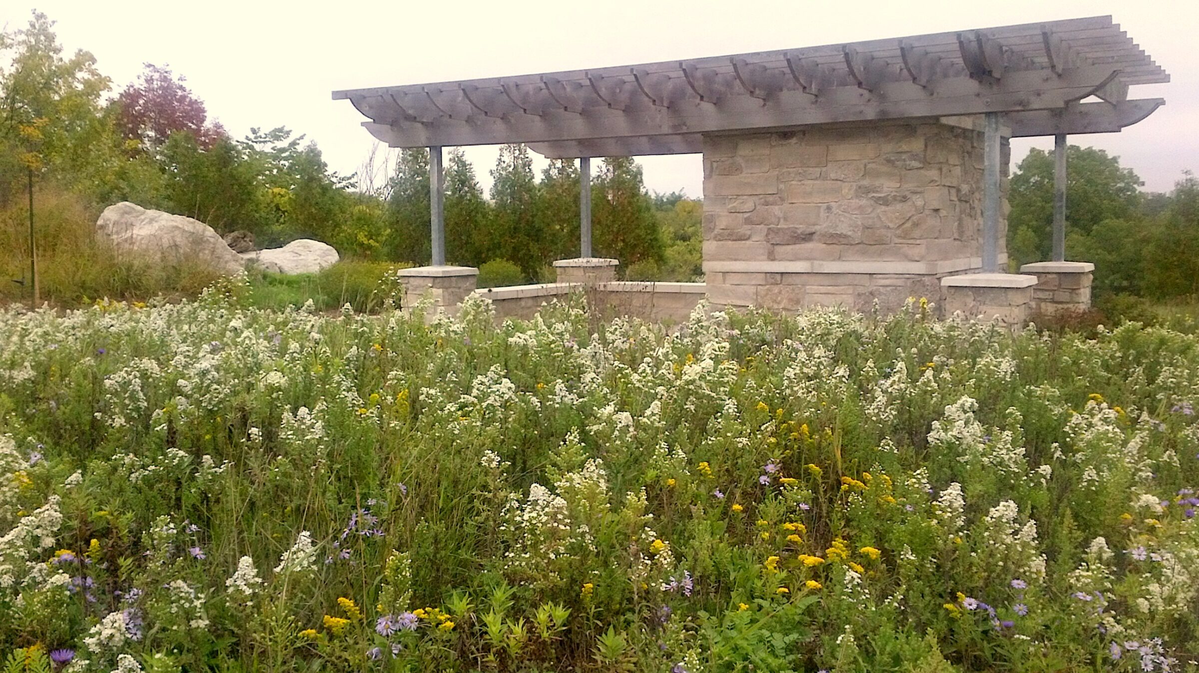 A stone pavilion with a metal roof stands amidst a wildflower meadow with large boulders, surrounded by greenery, under an overcast sky.
