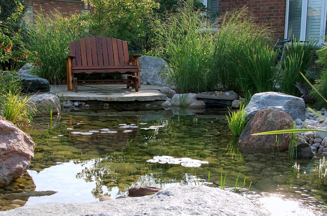 A tranquil garden pond surrounded by rocks and greenery with a wooden bench on a stone patio, reflecting in the still water with lily pads.