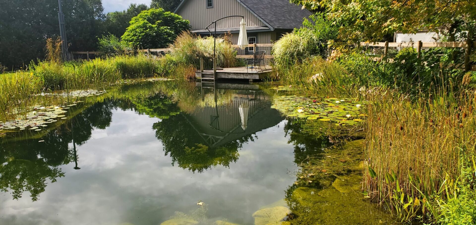 A serene pond with water lilies, surrounded by lush greenery, reflects a house and sky. A wooden deck with chairs invites relaxation beside the tranquil water.