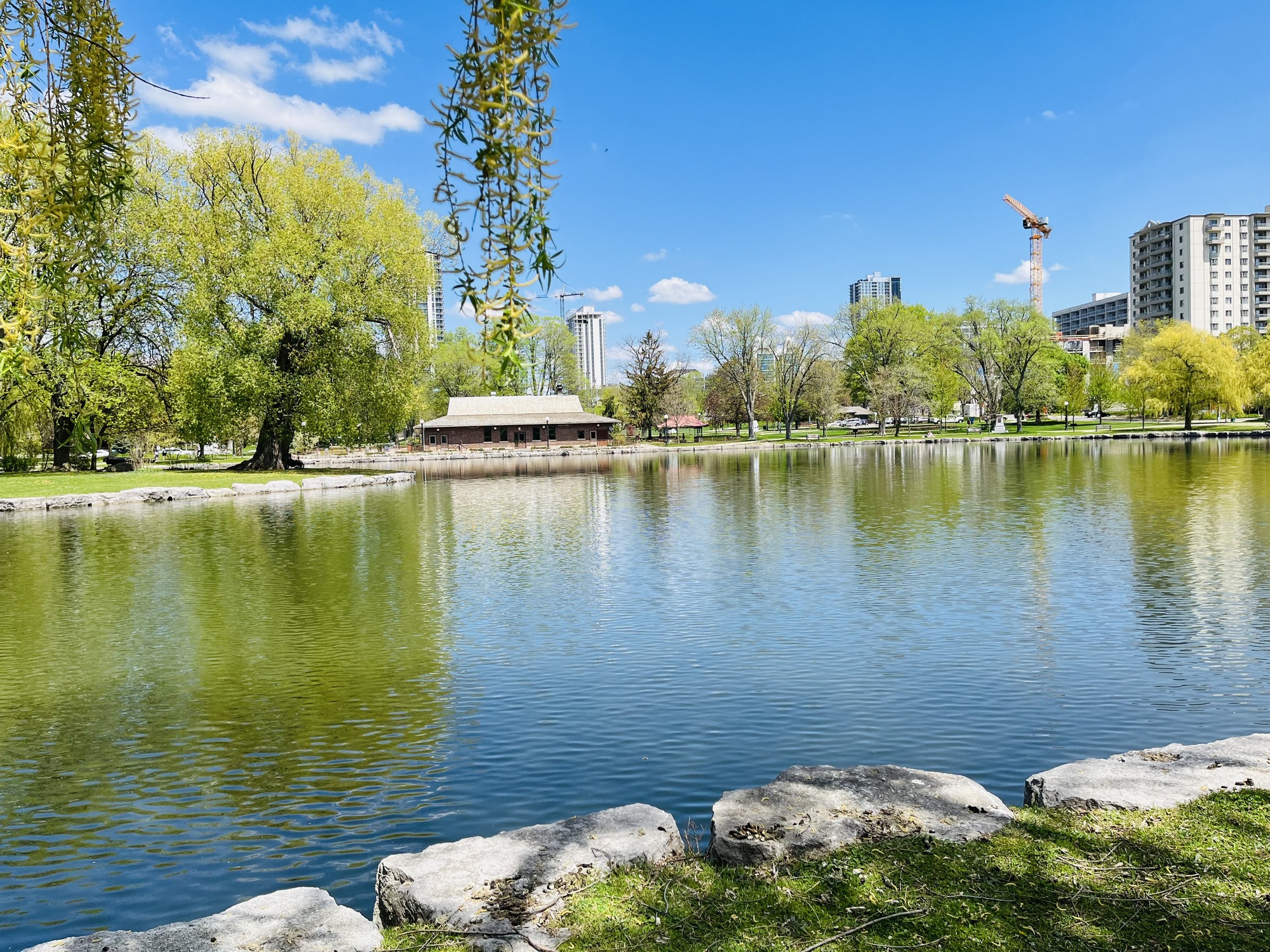 A serene city park with a clear pond reflecting greenery, a quaint building, and distant buildings beneath a bright blue sky with wispy clouds.