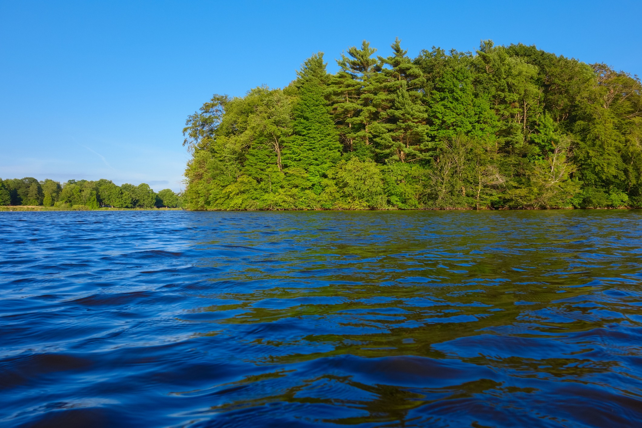 A serene lake with ripples on its surface, bordered by a dense forest under a clear blue sky on a sunny day.