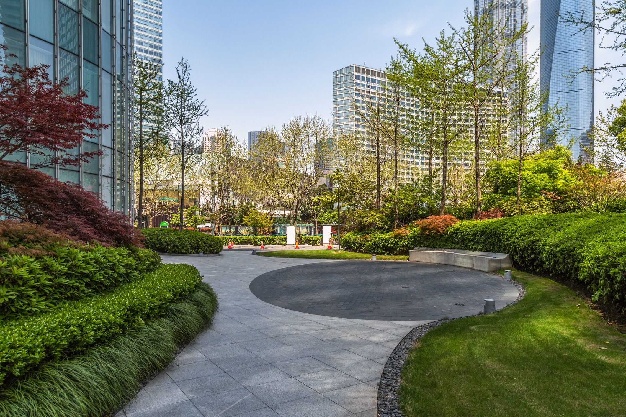 This image shows a landscaped urban park with greenery and curved paths, surrounded by modern skyscrapers under a clear blue sky.