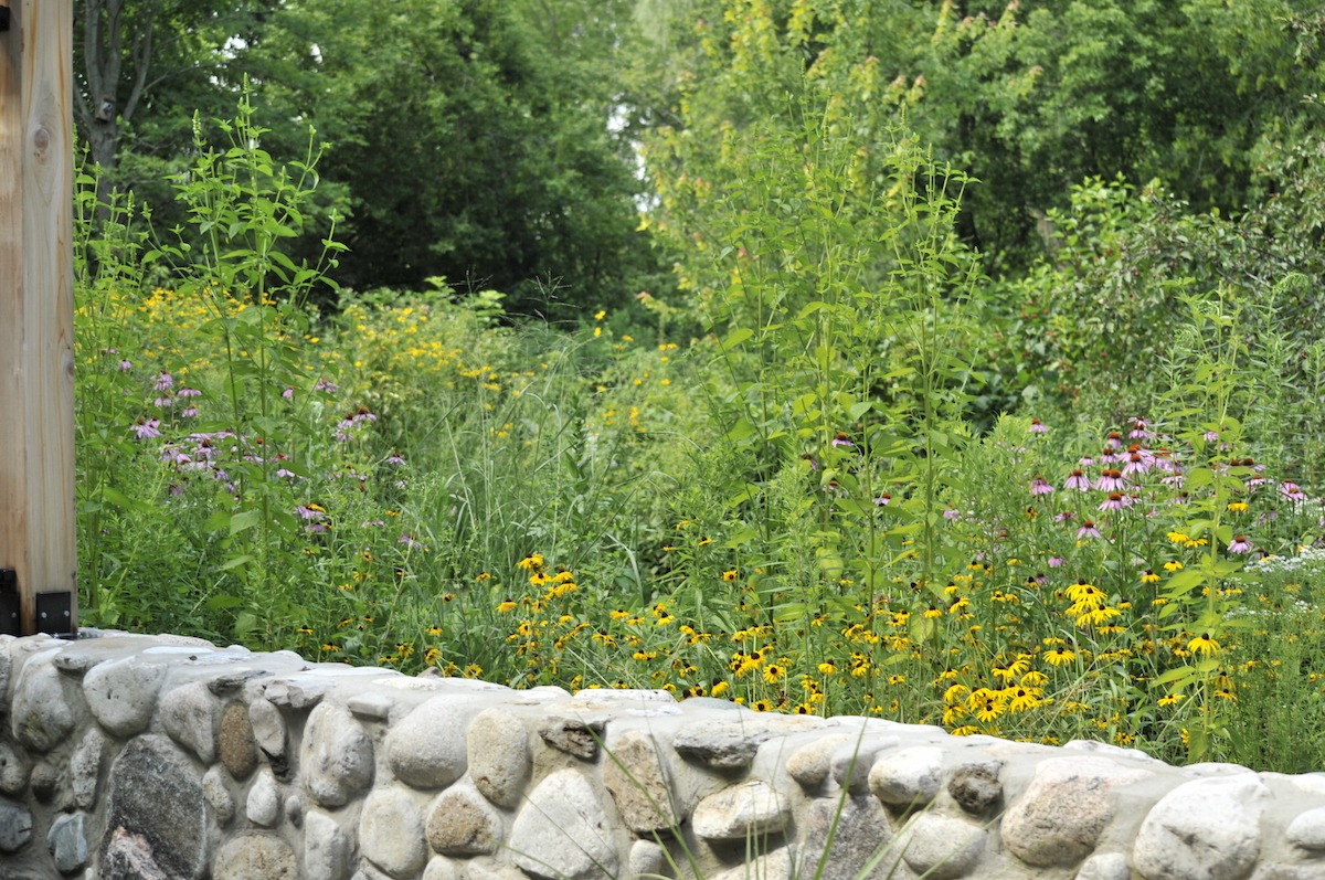 The image shows a lush garden with a variety of flowers, predominantly yellow and purple, behind a stone wall, with dense greenery in the background.