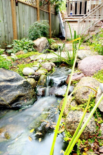 A tranquil backyard with a small waterfall, lush greenery, rocks, wooden fence, and stairs. A ladder leans against the house.