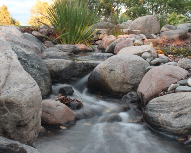 A serene, rocky stream flows gently through a natural setting, surrounded by smooth stones and lush vegetation, under a soft, golden light.