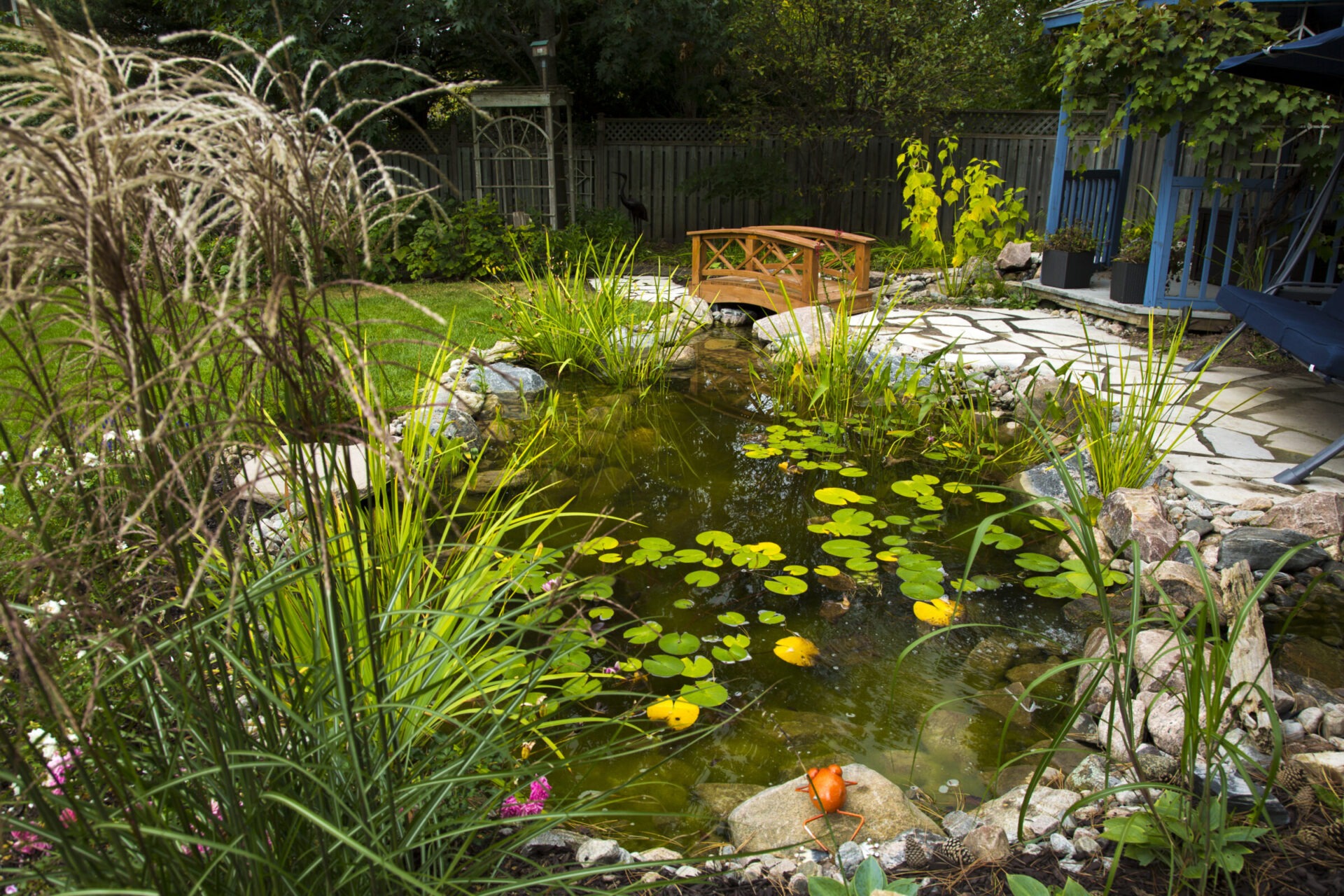 A tranquil garden scene with a pond, lily pads, wooden bridge, and various plants, surrounded by a fence and greenery.