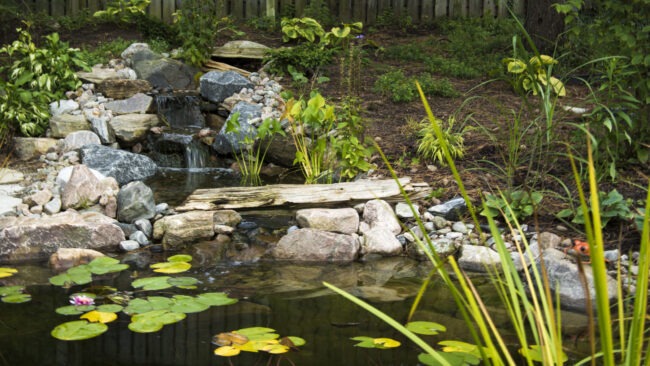 A small garden pond with water lilies, surrounded by rocks and greenery. The peaceful scene includes a gentle waterfall and lush foliage.