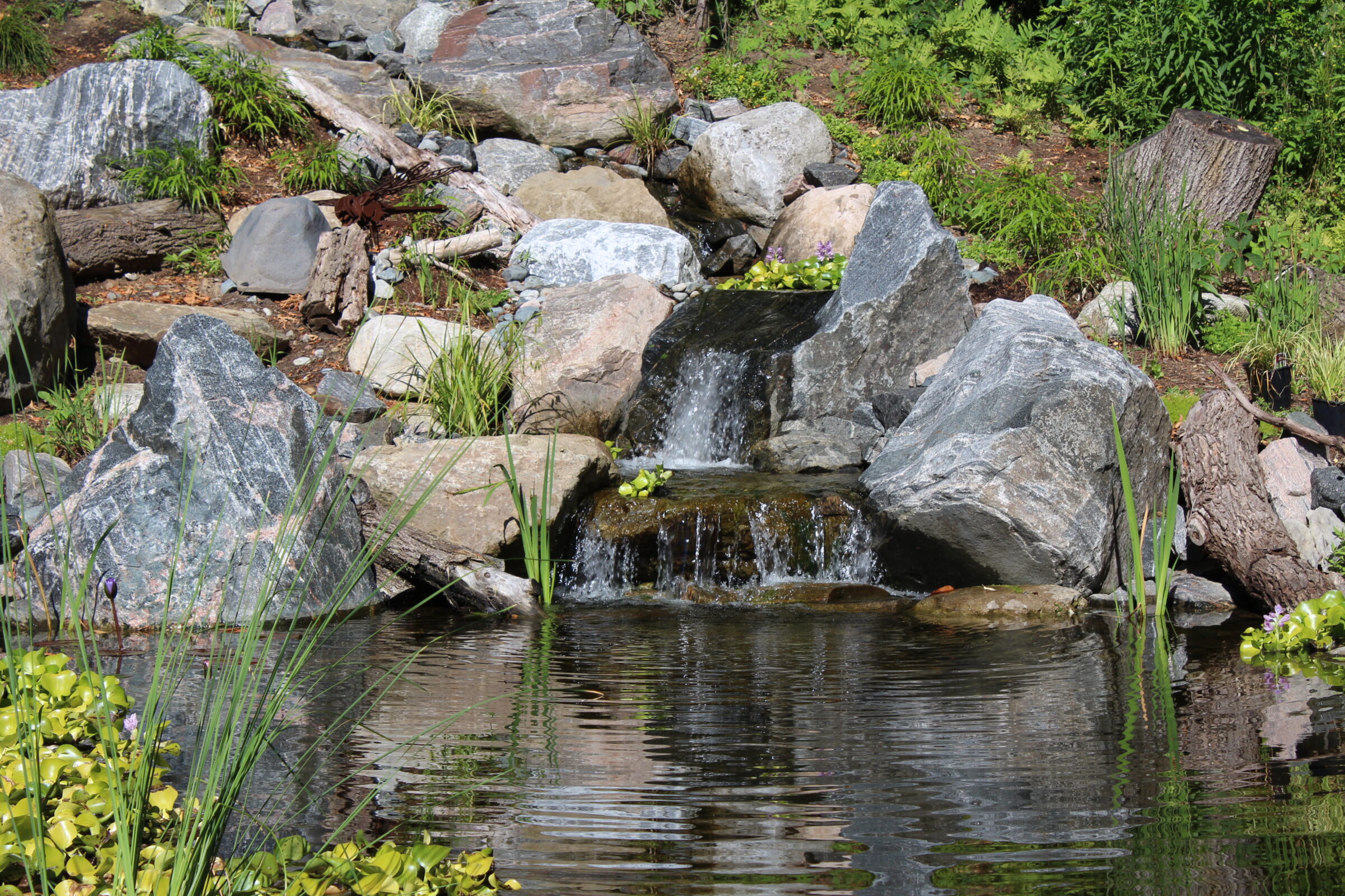 A small waterfall flows over rocks into a pond surrounded by greenery and plants, creating a serene natural scene.