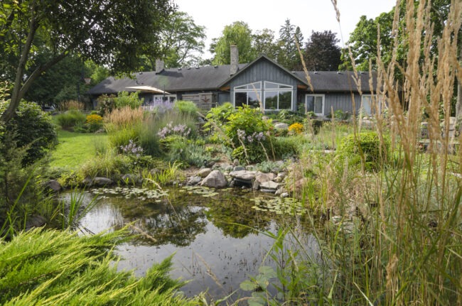 House with a lush garden featuring diverse plants and a small pond in front, surrounded by trees, creating a serene natural setting.