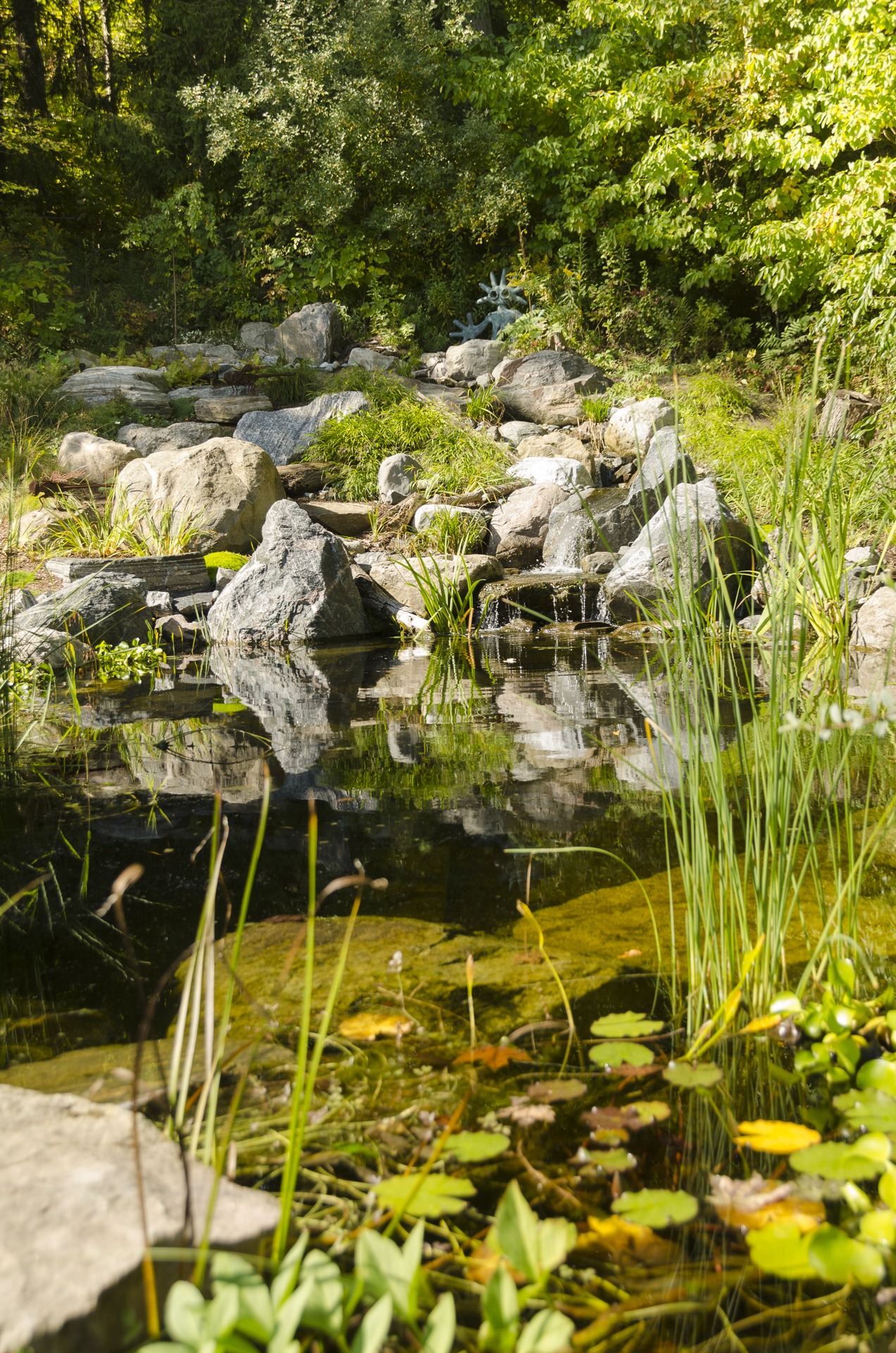 A serene pond surrounded by rocks and lush greenery, capturing reflections and the tranquility of nature in a woodland setting.