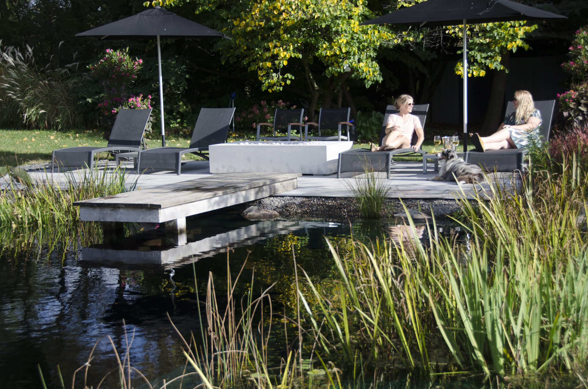 Modern backyard landscape design with ornamental grasses, concrete patio, and swimming pool surrounded by natural planting beds.